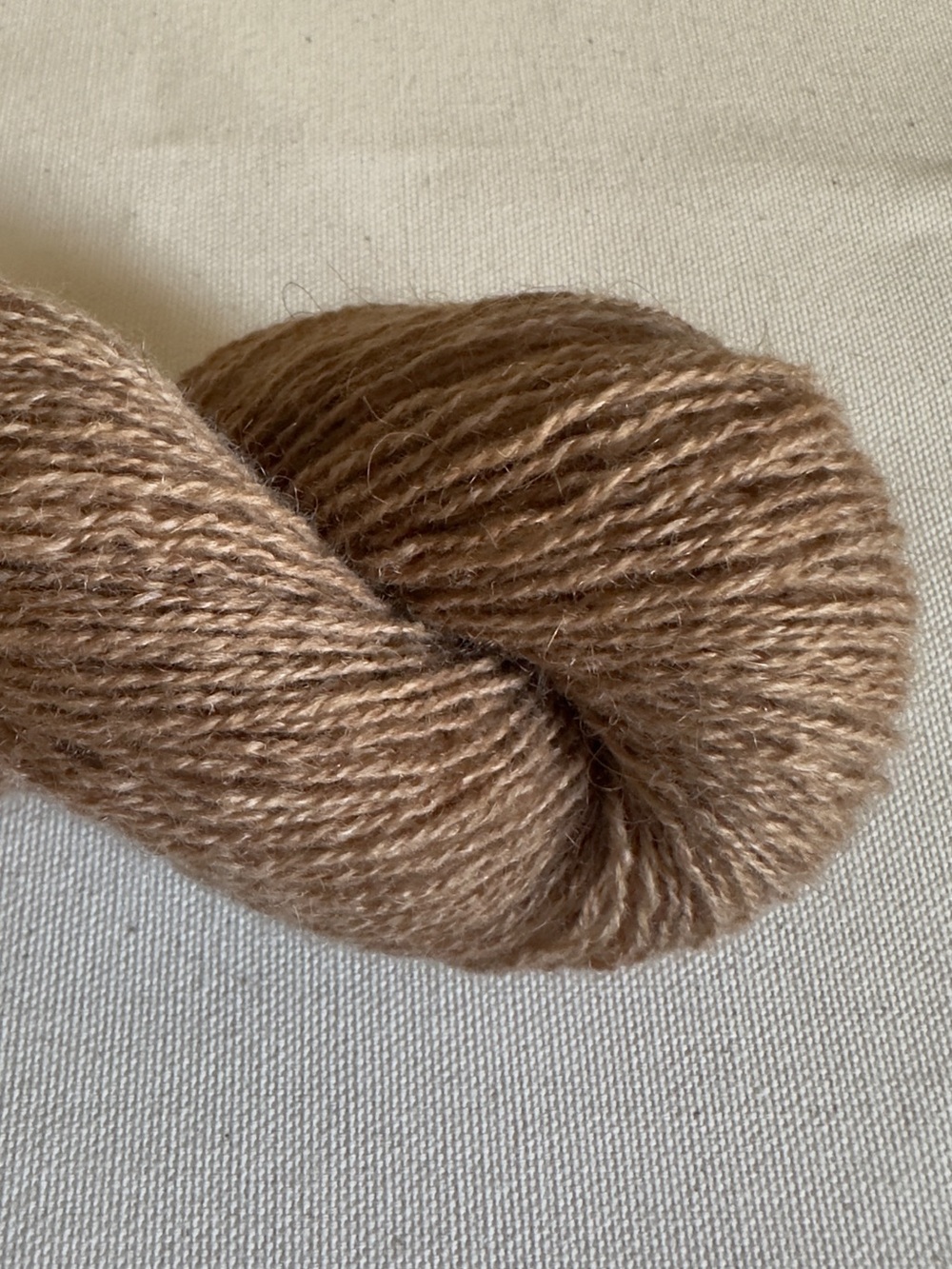 Cashmere Camel Yarn Bundle · Fingering · “Maple” · 50g | 332m · ⬇️ 10%